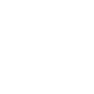 Grapes - Icon