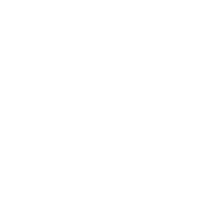 Blackberries -Icon