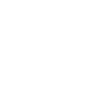 Oranges - Icon