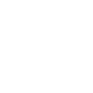 Pomegranate - Icon