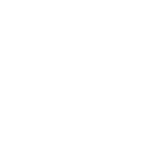 Raspberries -Icon